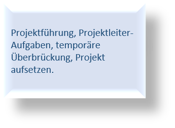 Projektfuehrung_Text